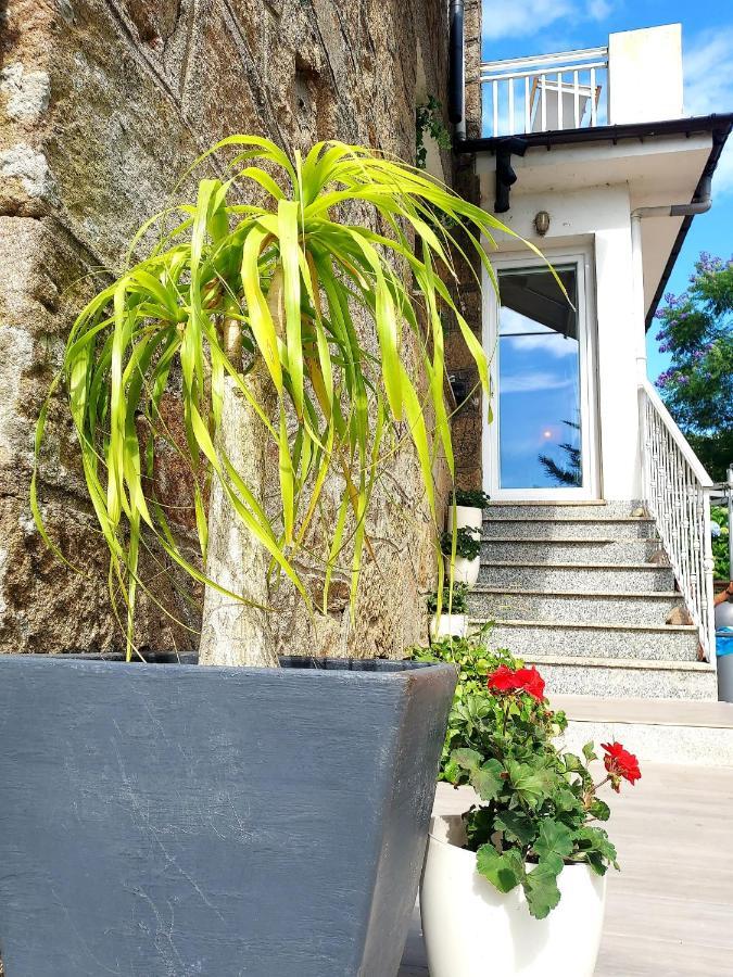Villa Pepe, Casa Compartida ポンテベドラ エクステリア 写真